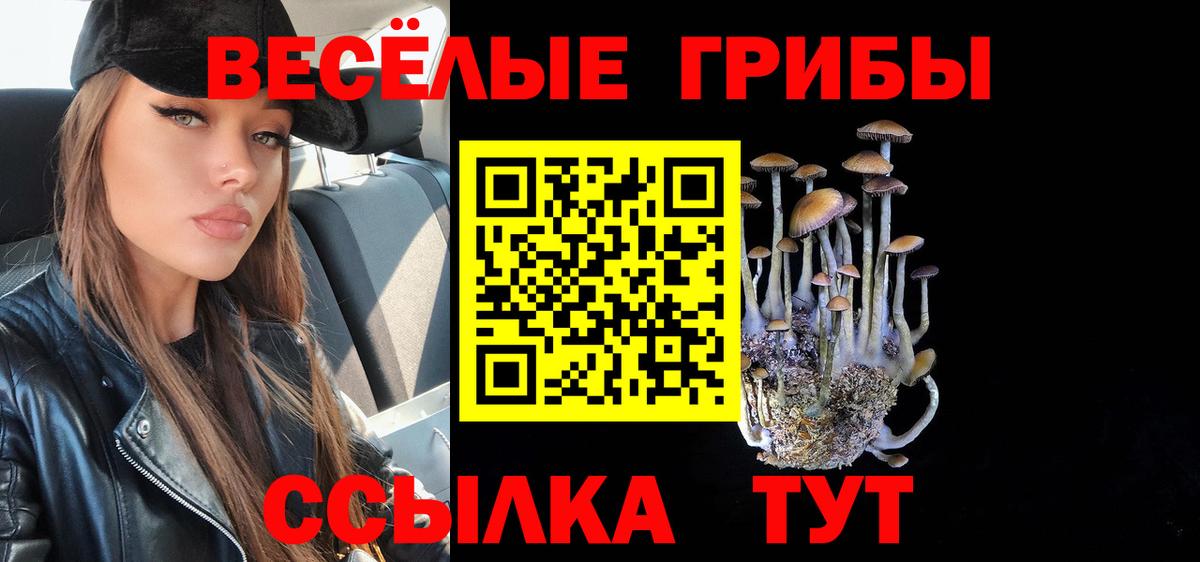 Солнечногорск  Галлюциногенные грибы Psilocybe  Вход с VPN 