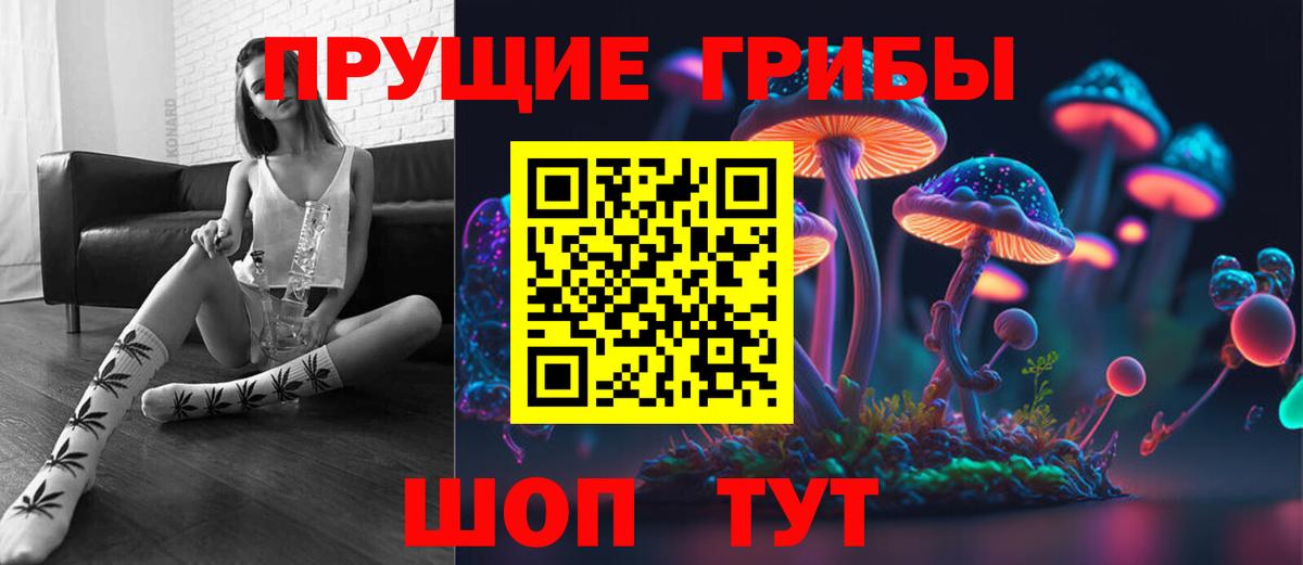 Галлюциногенные грибы Psilocybine cubensis Солнечногорск